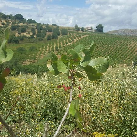 Agriturismo Gessi Calatafimi Luaran gambar
